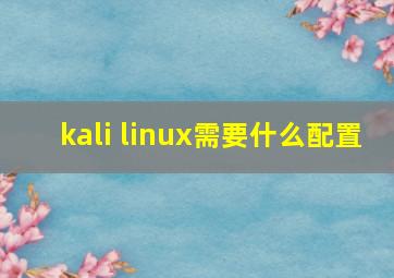 kali linux需要什么配置